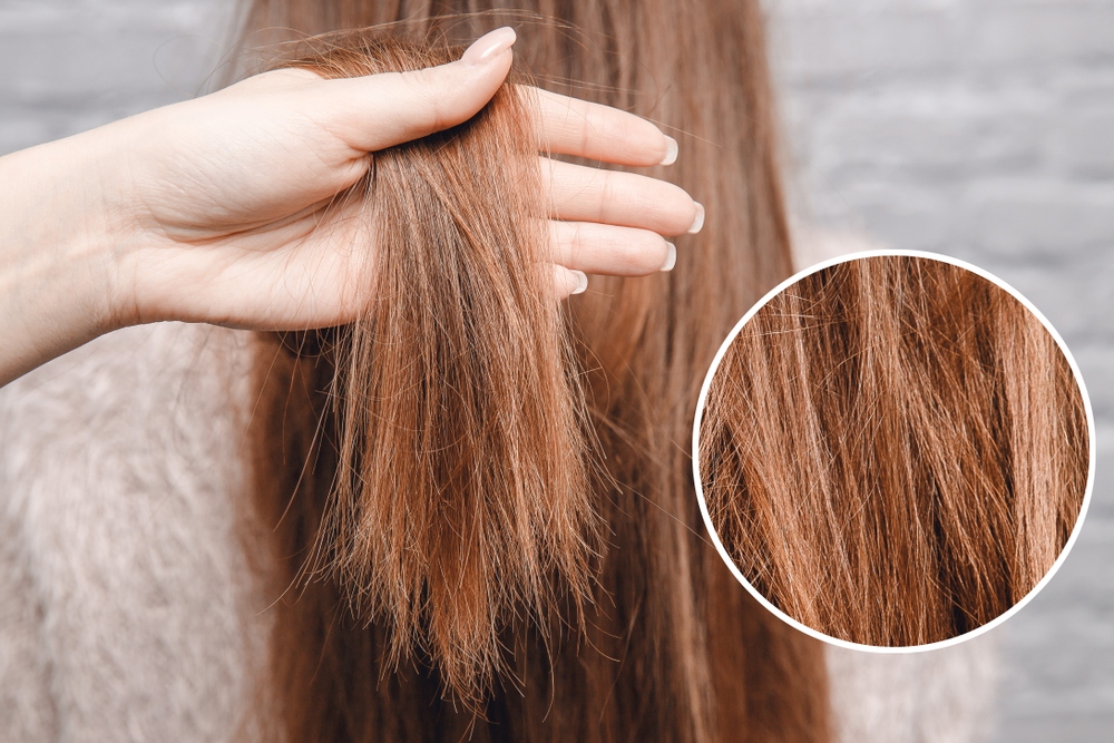 5 Steps to Repair Damaged Hair